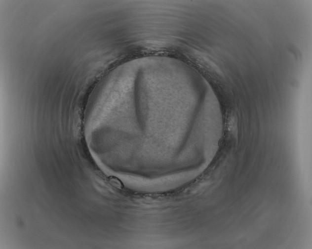 X0000113340868200910131216