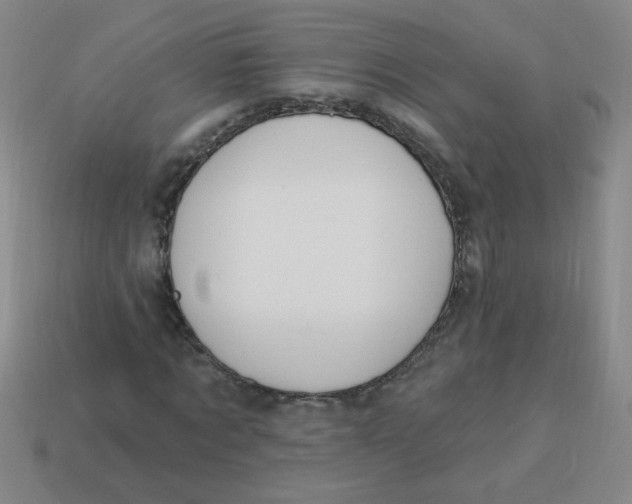 X0000113340869200910131216