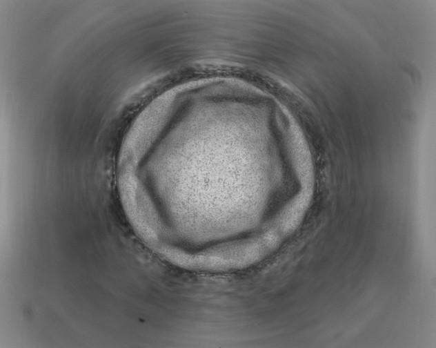 X0000113340870200910131216