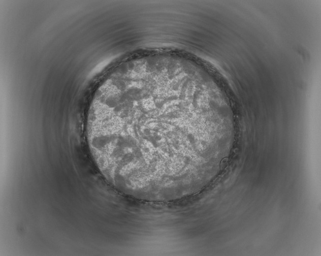 X0000113340871200910131216