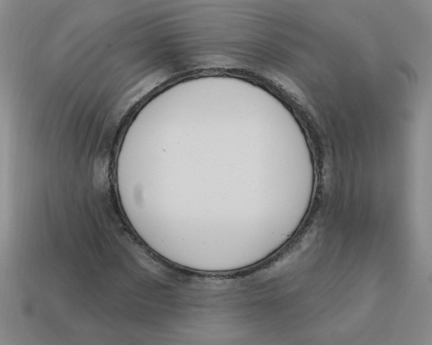 X0000113340873200910131216