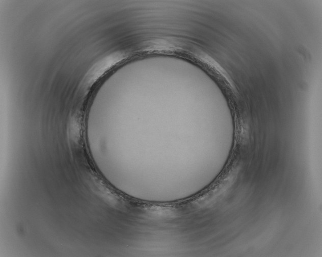 X0000113340874200910131216