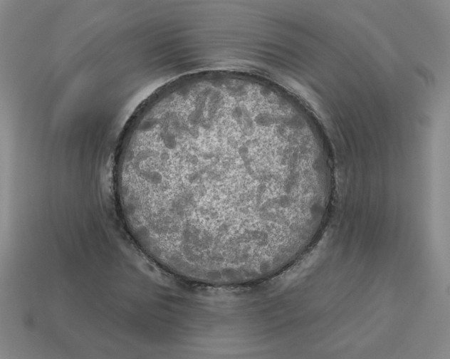X0000113340875200910131216