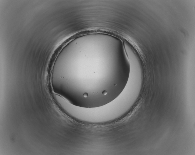 X0000113340876200910131216