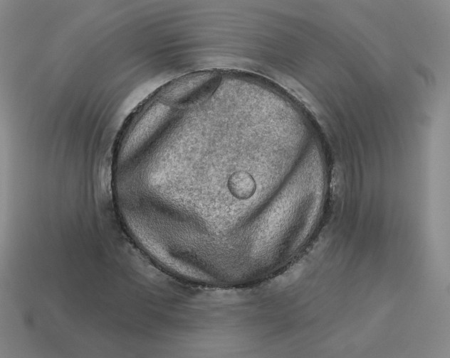 X0000113340877200910131216