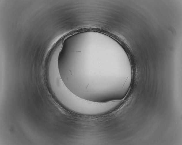 X0000113340878200910131216