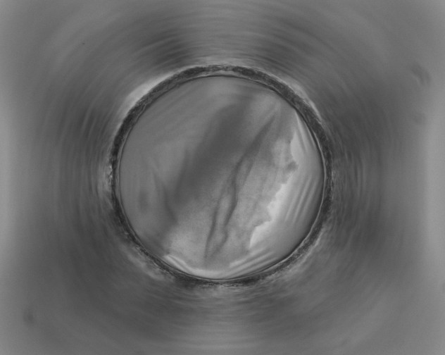 X0000113340879200910131216