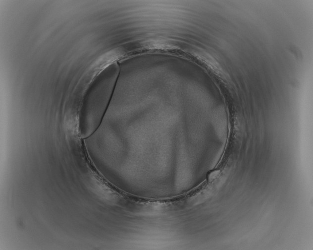 X0000113340881200910131216