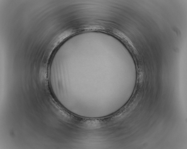 X0000113340882200910131216