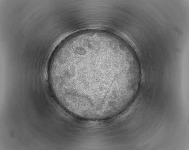 X0000113340883200910131216