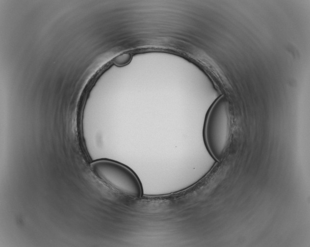 X0000113340884200910131216