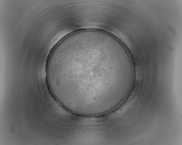 X0000113340885200910131216