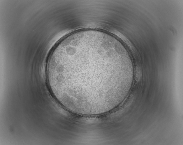 X0000113340886200910131216