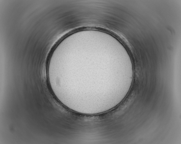 X0000113340887200910131216
