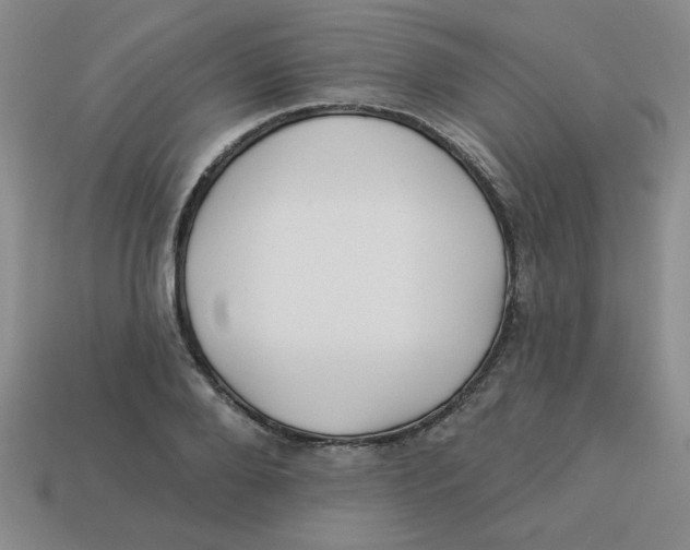 X0000113340888200910131216