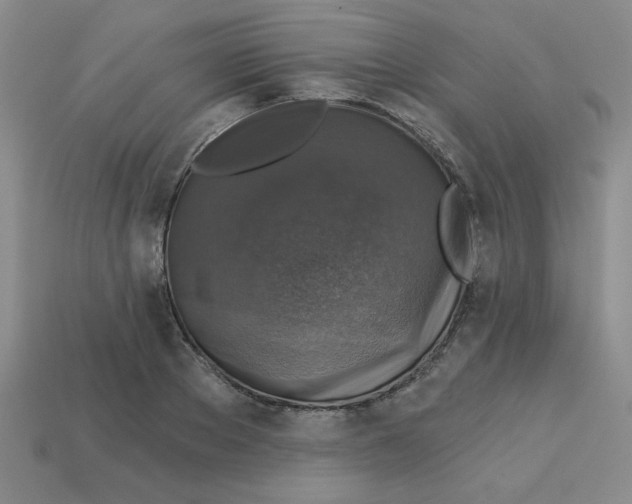 X0000113340889200910131216