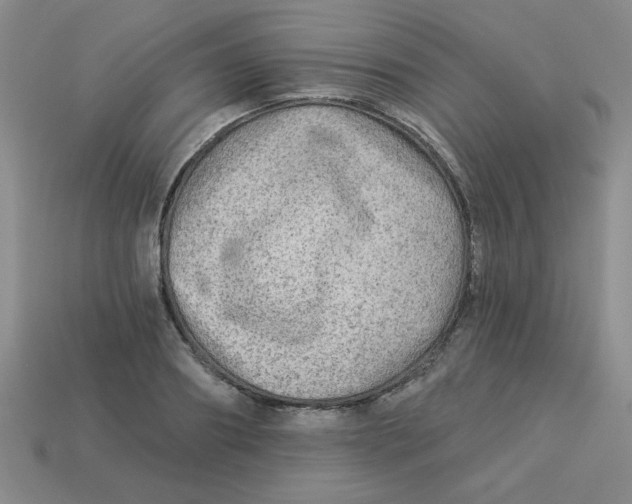 X0000113340890200910131216