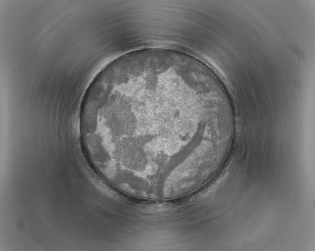 X0000113340891200910131216