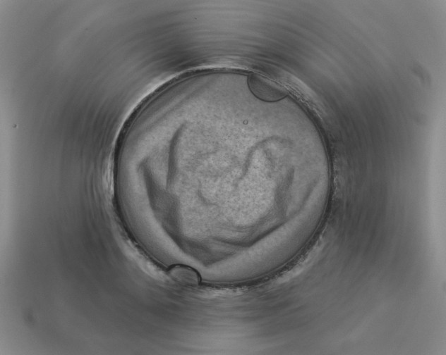 X0000113340892200910131216