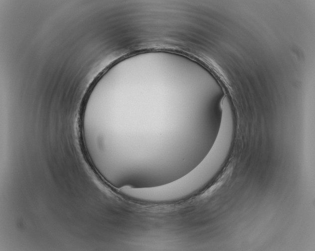 X0000113340893200910131216