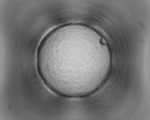 X0000113340894200910131216