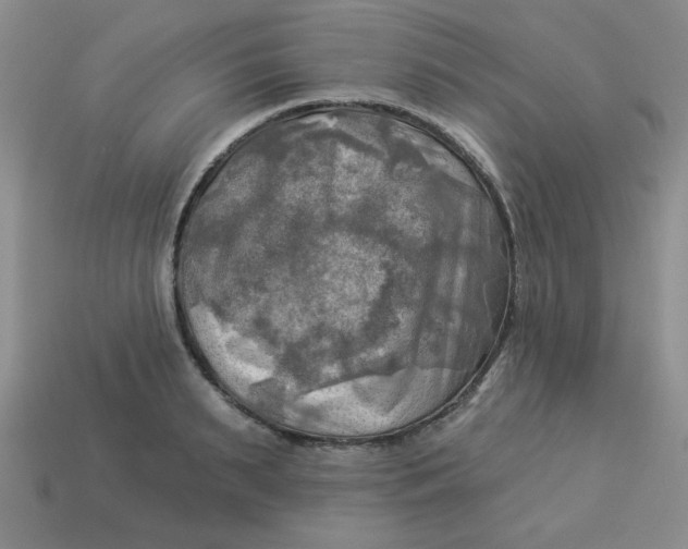 X0000113340895200910131216