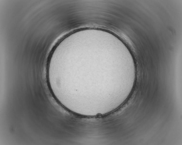 X0000113340896200910131216