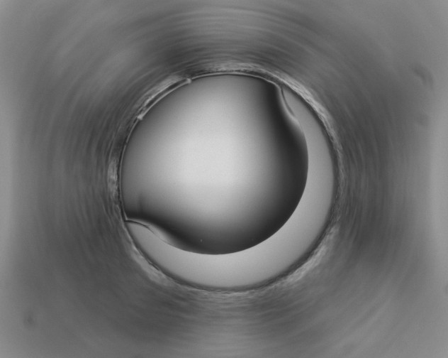 X0000113340897200910131216