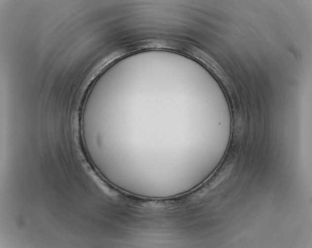 X0000113340898200910131216