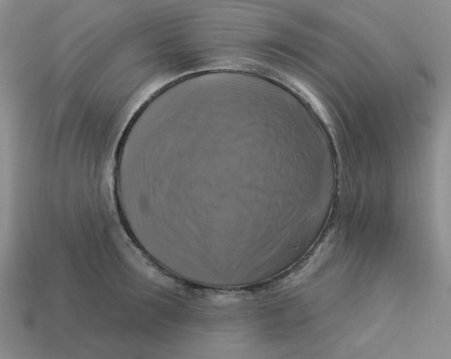 X0000113340899200910131216