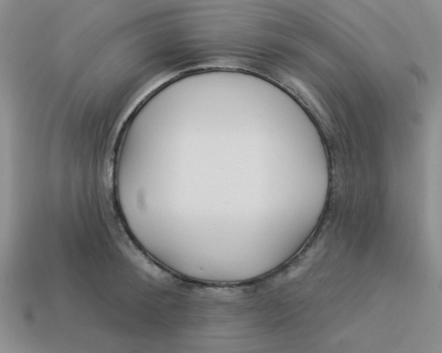 X0000113340900200910131216