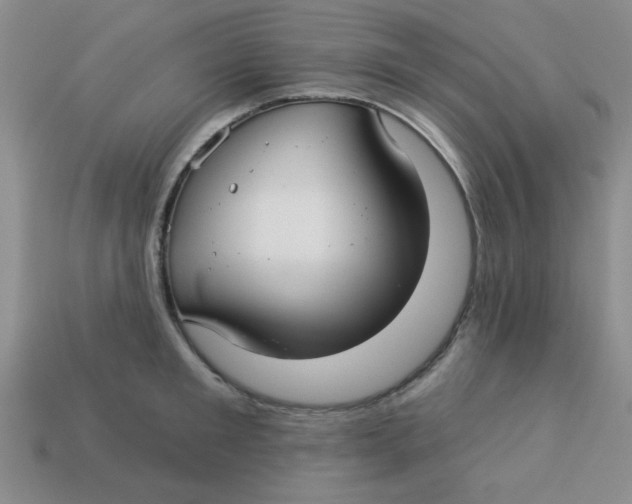 X0000113340901200910131216