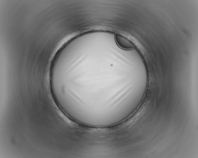 X0000113340902200910131216