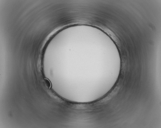 X0000113340904200910131216
