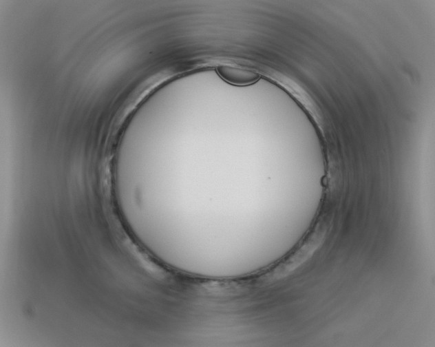 X0000113340906200910131216