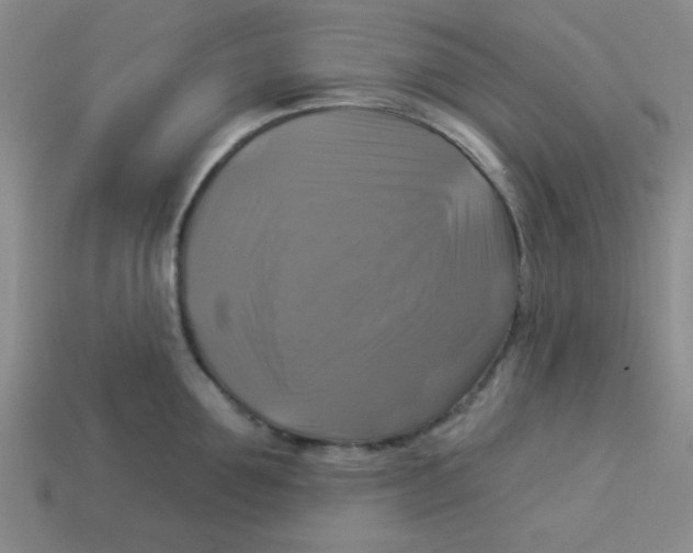 X0000113340907200910131216