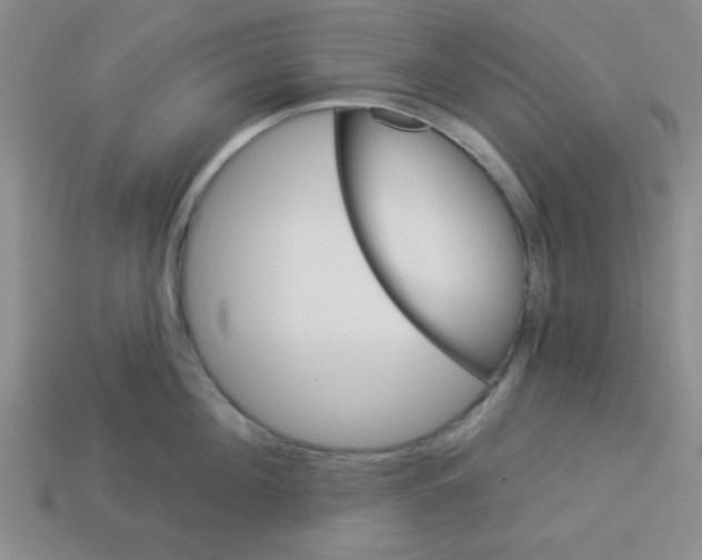 X0000113340908200910131216