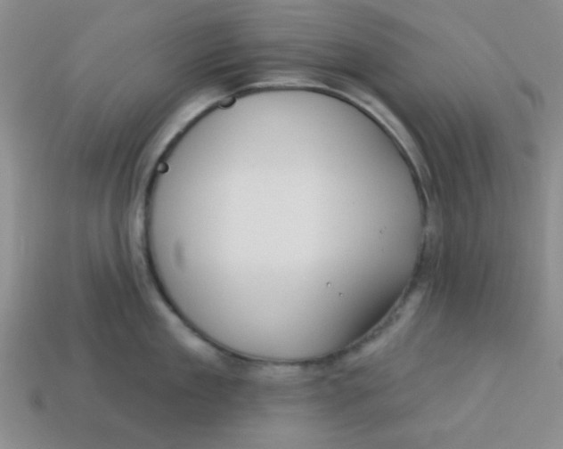 X0000113340909200910131216