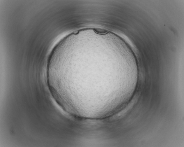 X0000113340910200910131216
