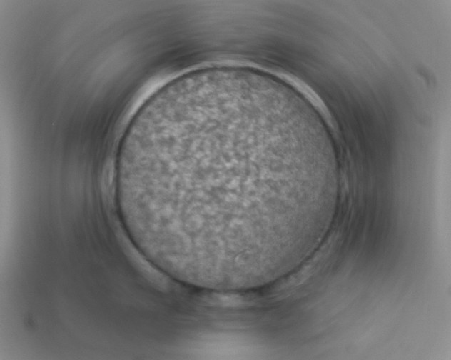 X0000113340911200910131216