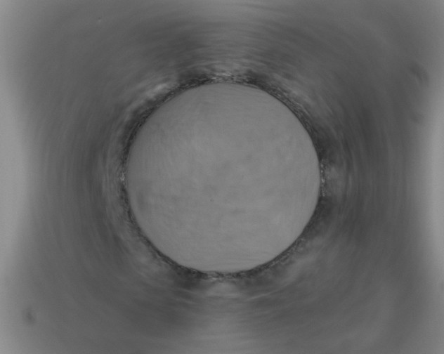 X0000113340913200910131215