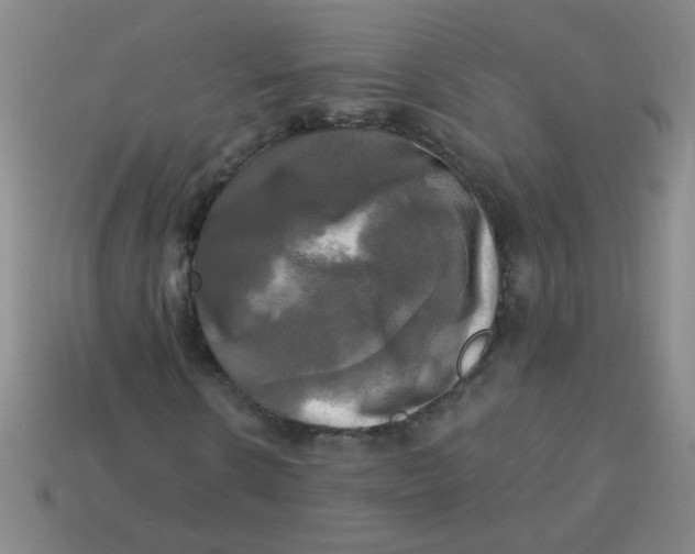 X0000113340914200910131215