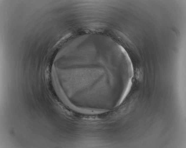 X0000113340915200910131215