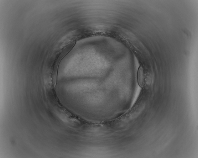 X0000113340916200910131215