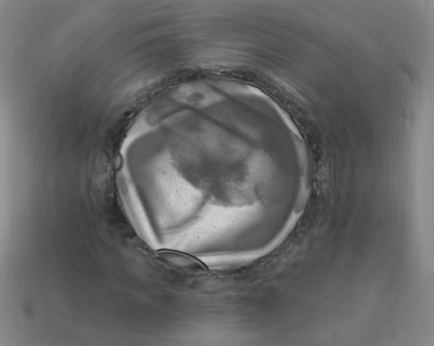 X0000113340917200910131215