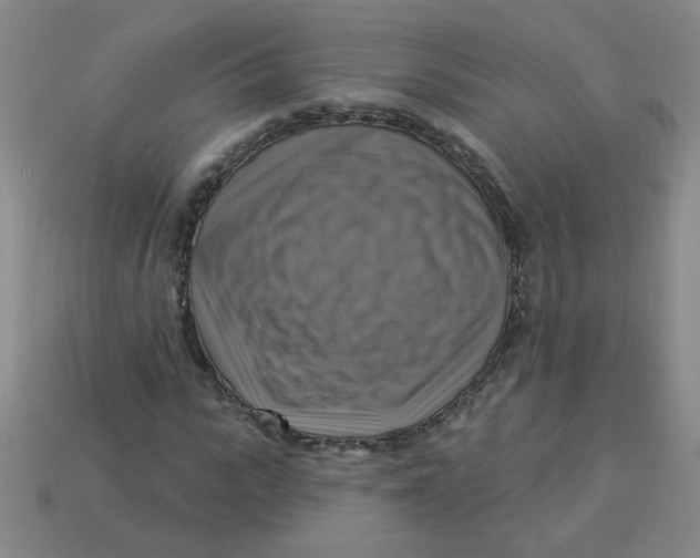 X0000113340919200910131215
