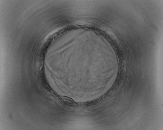 X0000113340920200910131215