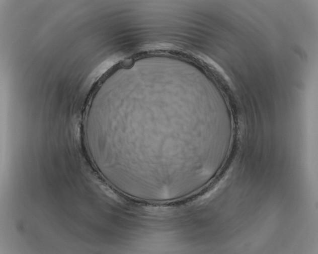X0000113340921200910131215