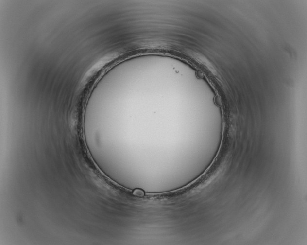 X0000113340922200910131215