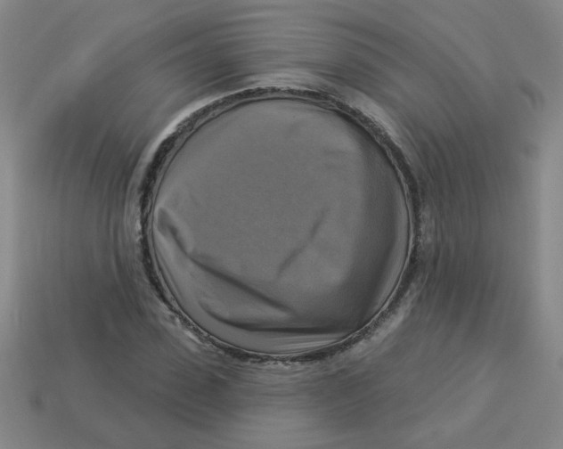 X0000113340923200910131215